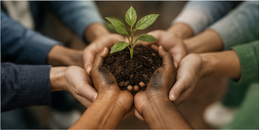 Growing meaningful impact